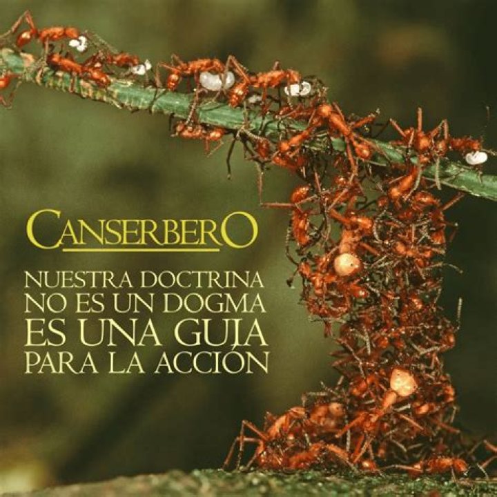 Canserbero Guía Para la Acción Lyrics