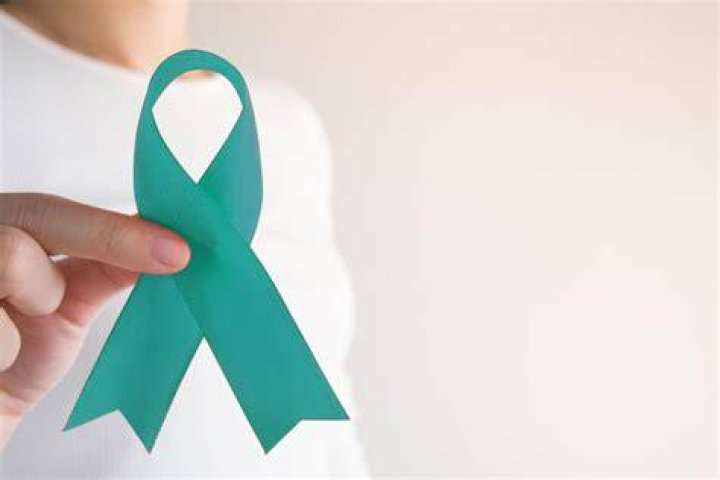 Hospice Care and Ovarian Cancer: A Closer Look at Lori Teresa Yearwood Hospice Care and Ovarian Cancer: A Closer Look at Lori Teresa Yearwood