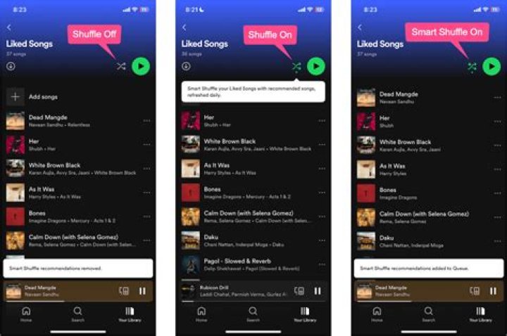 How to Turn Off Shuffle on Spotify