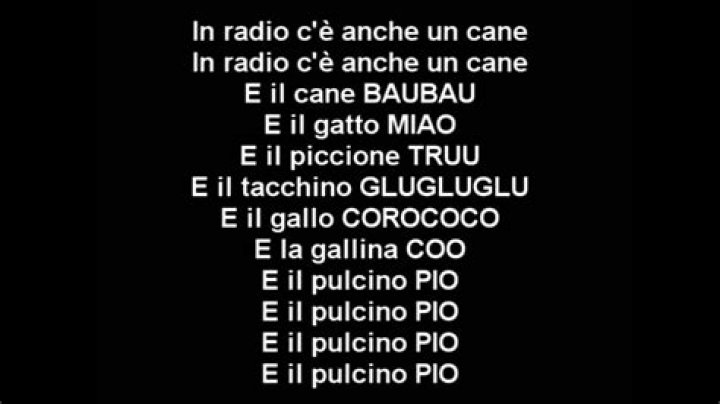 Il pulcino pio lyrics