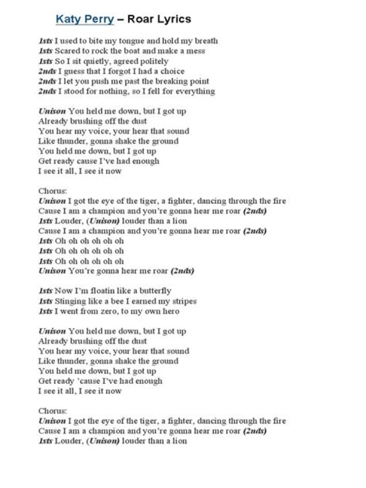 Katy perry roar clean lyrics lyrics