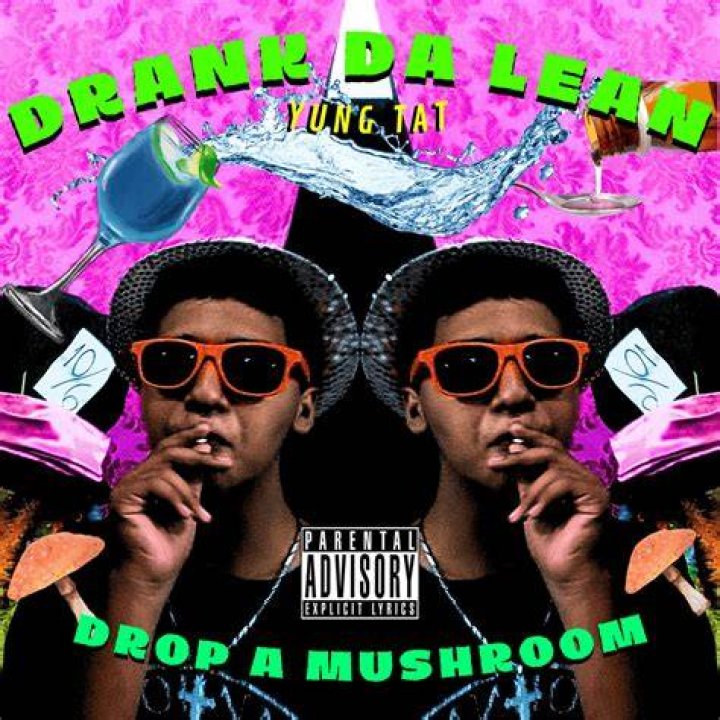 Mushroom rap lyrics