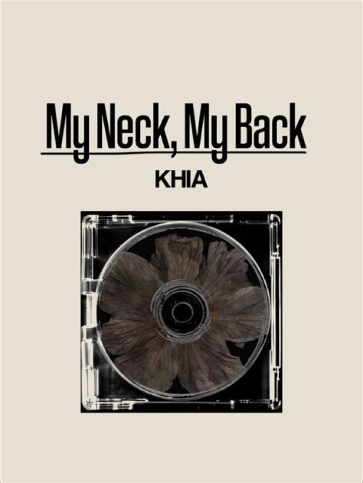 My neck my back cupcake lyrics