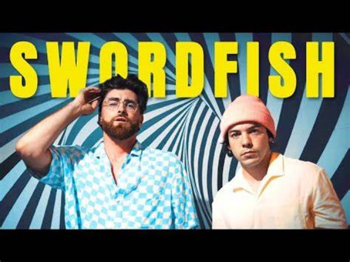 Nic D Swordfish Lyrics
