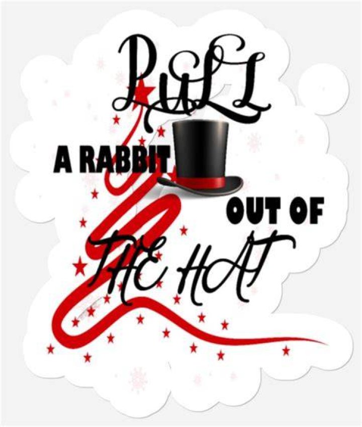 Pull a rabbit out of a hat lyrics
