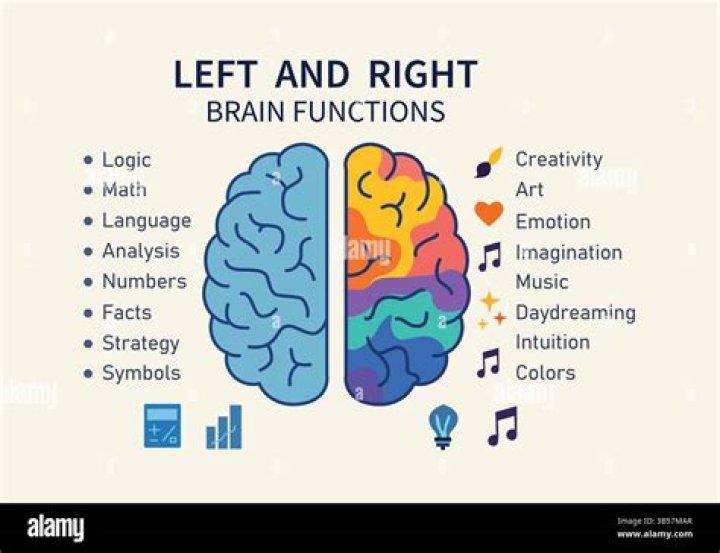 Right brain left brain lyrics