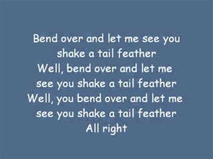 Shake your tailfeather lyrics