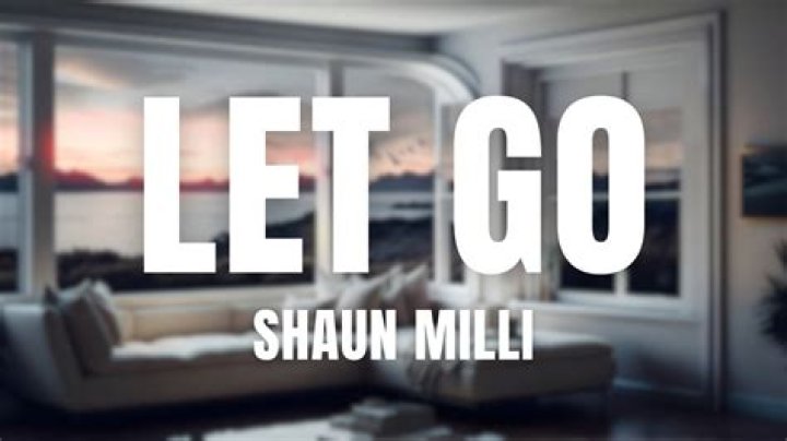 Shaun milli let go lyrics