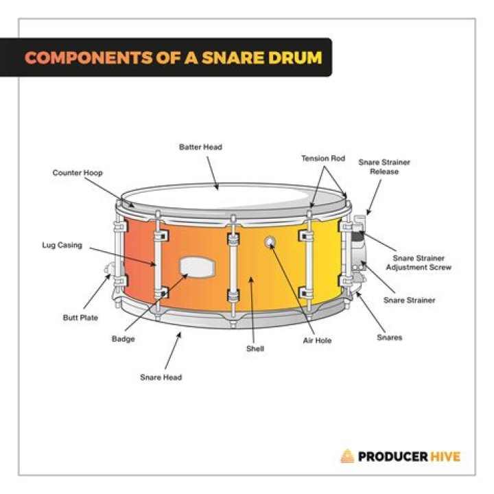 Snare Drums