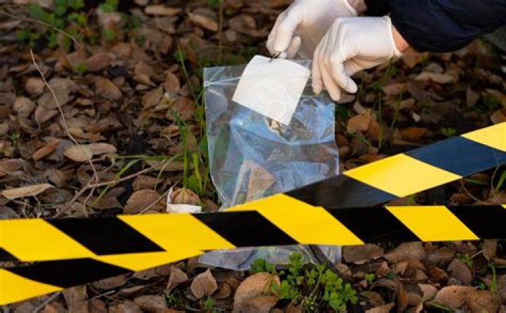 Specialized Detectives and Local Authorities Examine Specifics in Lyle Leverentz