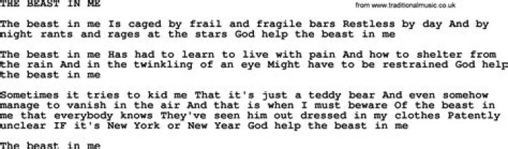 The beast in me lyrics