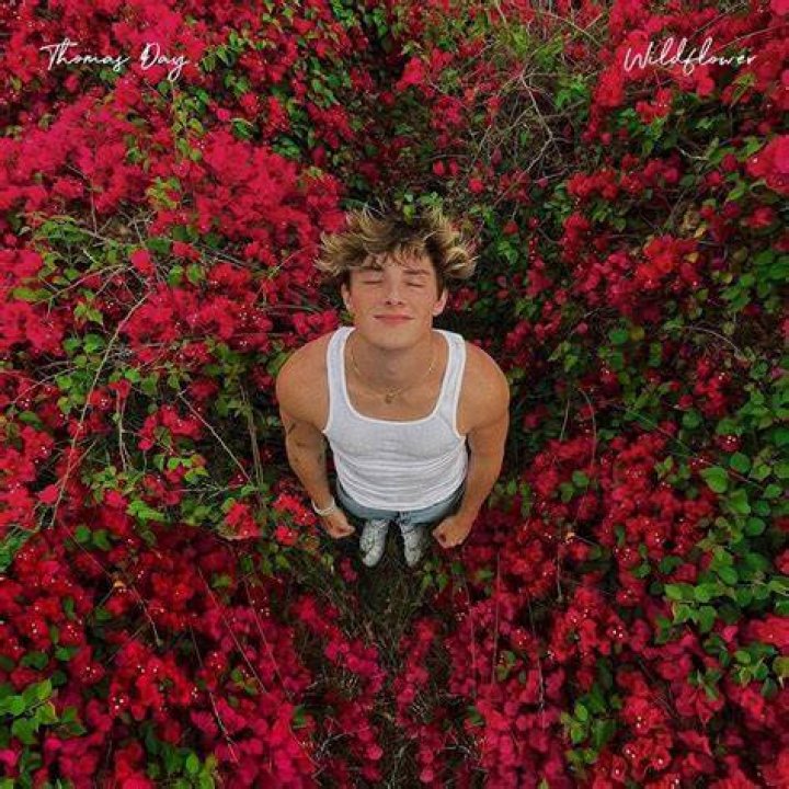 Thomas day wildflower lyrics
