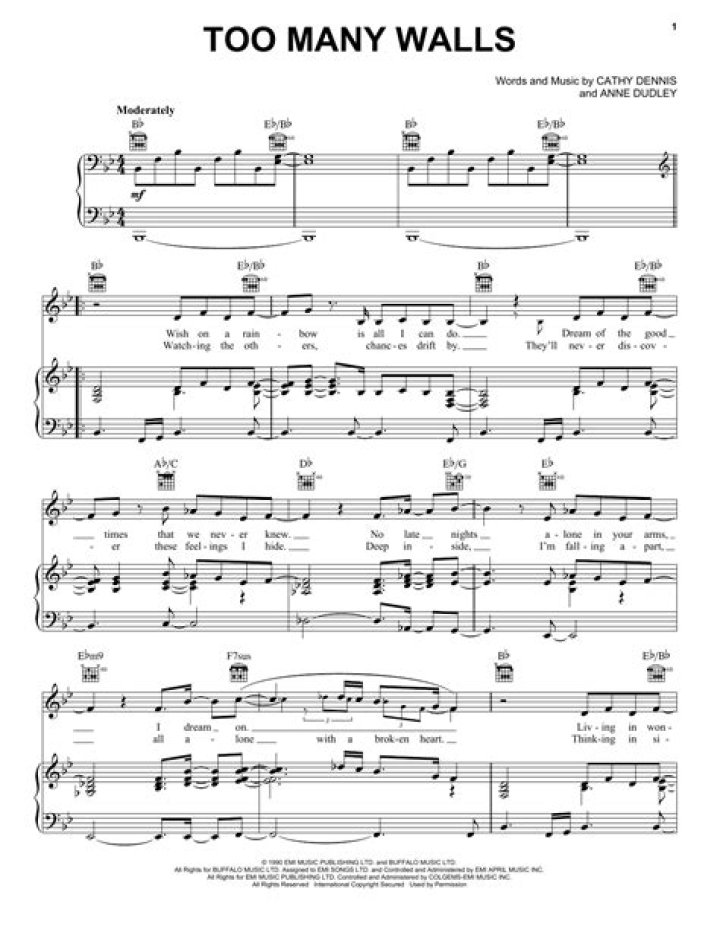 Too many walls lyrics