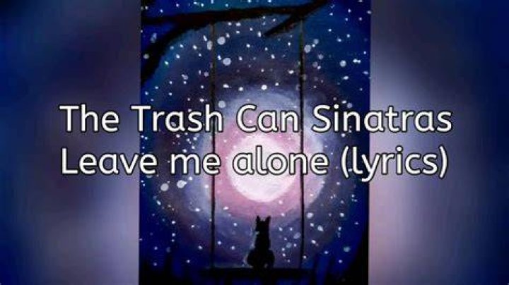 Trash can sinatras lyrics