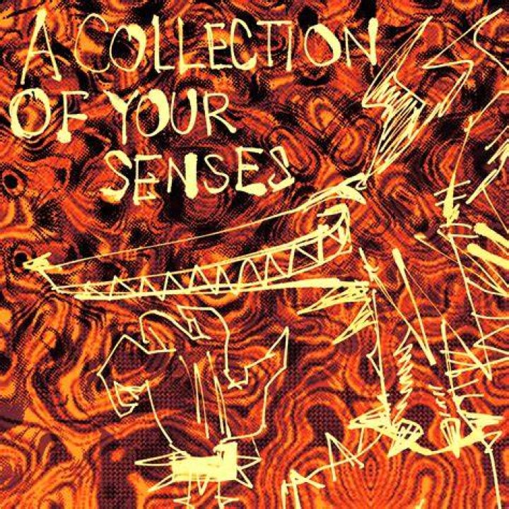 Your senses lyrics